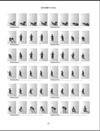 Illustrated_Manual_1second_shots